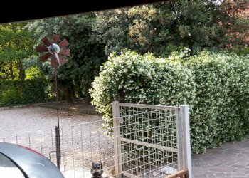 Foto 15 - Semi-detached house Vicolo San Pelajo C, Treviso - photo 15