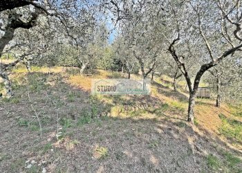 Foto 30 - Casa semi indipendente Via dei Venti, Massarosa - foto 30