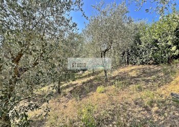 Foto 33 - Casa semi indipendente Via dei Venti, Massarosa - foto 33