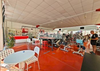 Foto 3 - Locale Commerciale Massarosa - foto 3