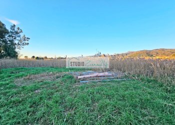 Foto 3 - Terreno agricolo via delle lenze, Massarosa - foto 3