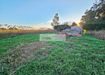 Foto 5 - Terreno agricolo via delle lenze, Massarosa - foto 5