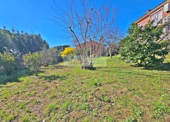 Foto 38 - Villa Via di Beretta, Massarosa - foto 38