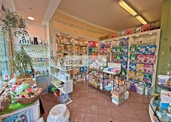 Foto 6 - Locale Commerciale Via Sarzanese Sud, Massarosa - foto 6