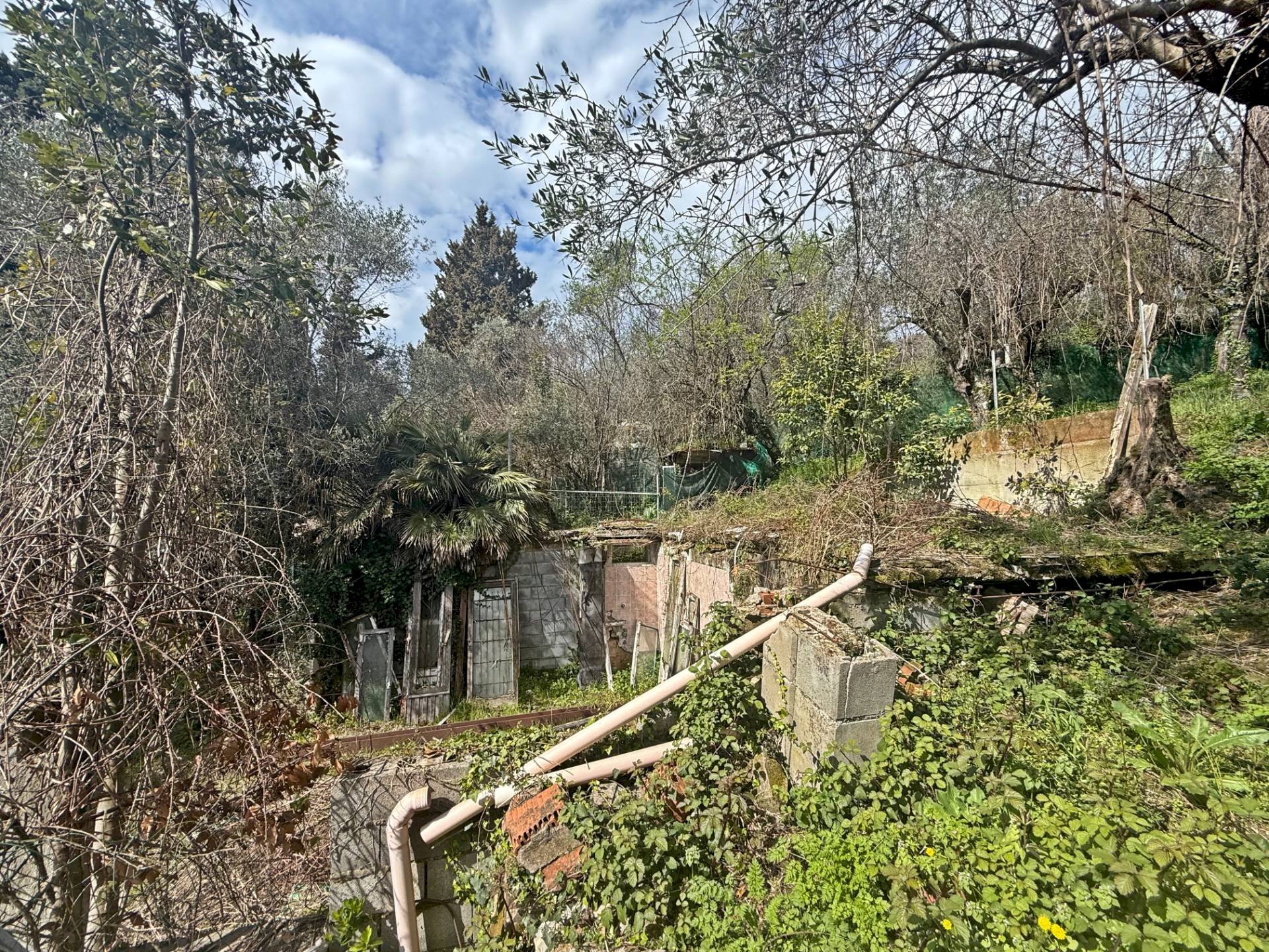 Foto 2 - Terreno edificabile Via delle Sezioni, Massarosa - foto 2