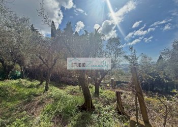 Foto 3 - Terreno edificabile Via delle Sezioni, Massarosa - foto 3