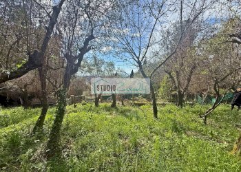 Foto 5 - Terreno edificabile Via delle Sezioni, Massarosa - foto 5