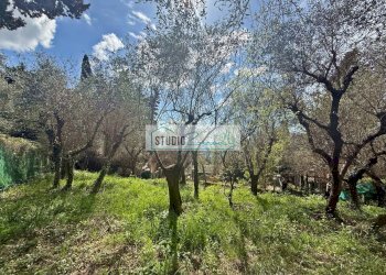 Foto 6 - Terreno edificabile Via delle Sezioni, Massarosa - foto 6