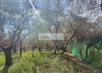 Foto 7 - Terreno edificabile Via delle Sezioni, Massarosa - foto 7