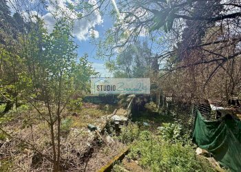 Foto 8 - Terreno edificabile Via delle Sezioni, Massarosa - foto 8