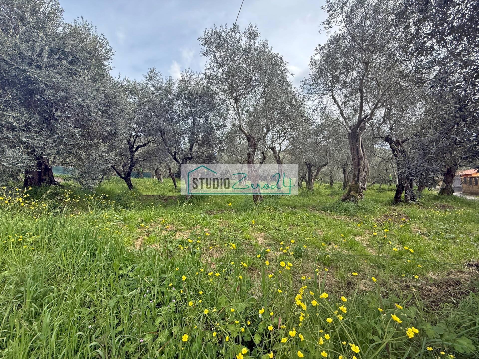 Foto 2 - Building land via di toma, Massarosa - photo 2