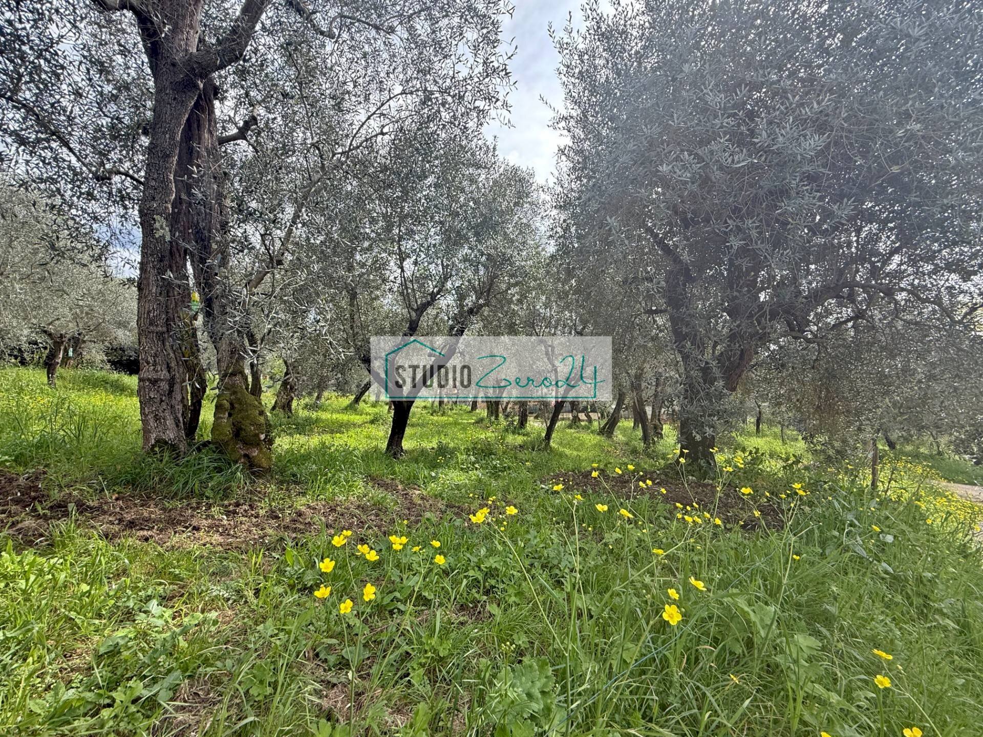 Foto 3 - Building land via di toma, Massarosa - photo 3