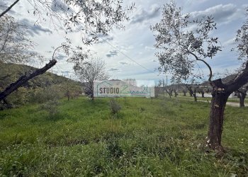 Foto 1 - Terreno edificabile via di toma, Massarosa - foto 1