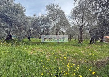 Foto 2 - Terreno edificabile via di toma, Massarosa - foto 2