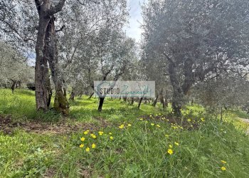 Foto 3 - Terreno edificabile via di toma, Massarosa - foto 3