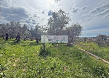 Foto 5 - Terreno edificabile via di toma, Massarosa - foto 5