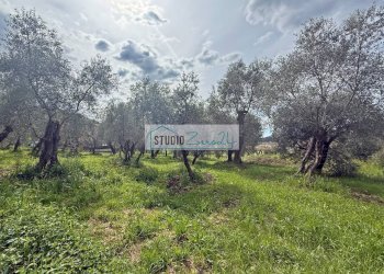 Foto 6 - Terreno edificabile via di toma, Massarosa - foto 6