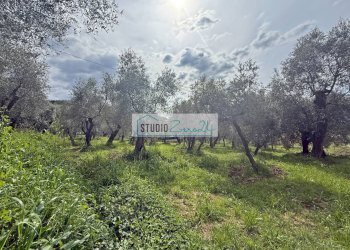 Foto 7 - Terreno edificabile via di toma, Massarosa - foto 7