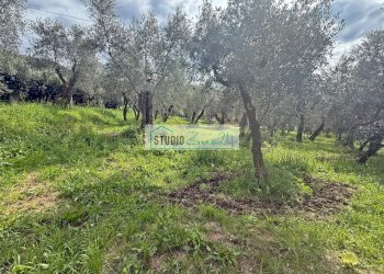 Foto 8 - Terreno edificabile via di toma, Massarosa - foto 8