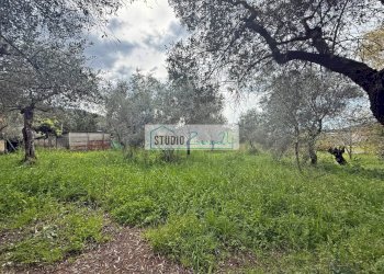 Foto 10 - Terreno edificabile via di toma, Massarosa - foto 10