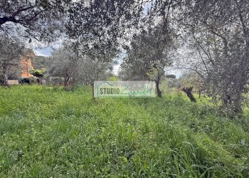 Foto 11 - Terreno edificabile via di toma, Massarosa - foto 11