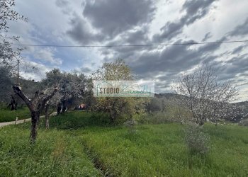 Foto 12 - Terreno edificabile via di toma, Massarosa - foto 12