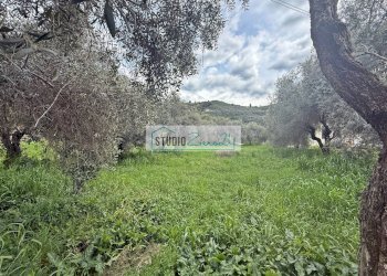 Foto 13 - Terreno edificabile via di toma, Massarosa - foto 13