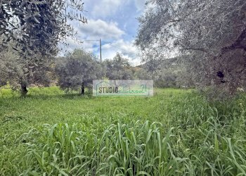 Foto 14 - Terreno edificabile via di toma, Massarosa - foto 14