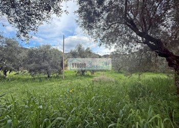 Foto 15 - Terreno edificabile via di toma, Massarosa - foto 15