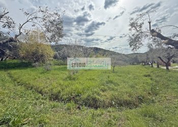 Foto 17 - Terreno edificabile via di toma, Massarosa - foto 17