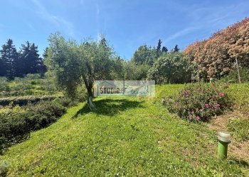 Foto 39 - Villa Via del Simonini, Massarosa - foto 39