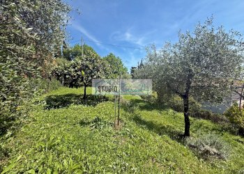 Foto 41 - Villa Via del Simonini, Massarosa - foto 41