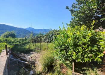 Foto 22 - Casa semi indipendente Stazzema - foto 22