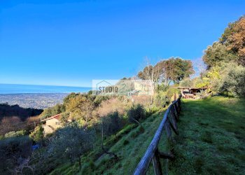 Foto 4 - Casa semi indipendente Pietrasanta - foto 4