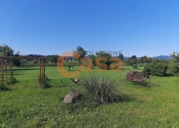 rustico - Rustico Strada Provinciale 36, Ponte dell'Olio - foto 8