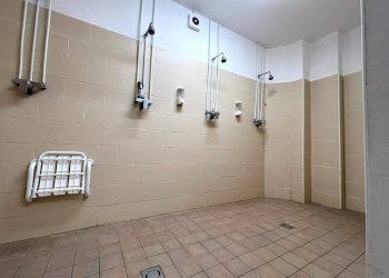 Foto 15 - Capannone Caorsana, Piacenza - foto 15