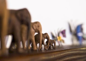 Foto 7 - Independent house Strada di casa al bosco
 
9, Siena - photo 7