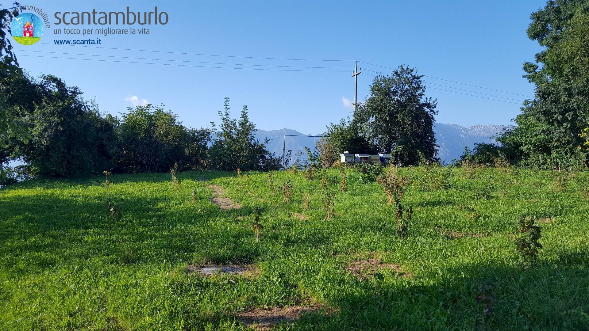 Foto 1 - Terreno edificabile Tambre - foto 1