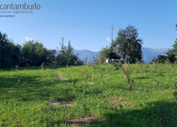 Foto 1 - Terreno edificabile Tambre - foto 1