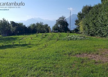 Foto 5 - Terreno edificabile Tambre - foto 5