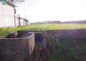 Foto 2 - Terreno edificabile Povegliano - foto 2