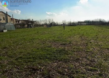 Foto 3 - Terreno edificabile Povegliano - foto 3