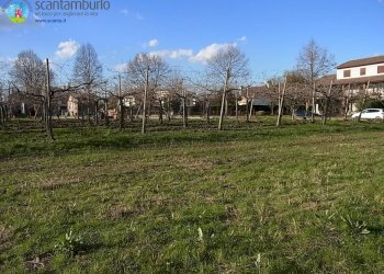 Foto 4 - Terreno edificabile Povegliano - foto 4