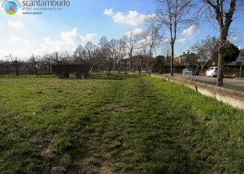 Foto 6 - Terreno edificabile Povegliano - foto 6