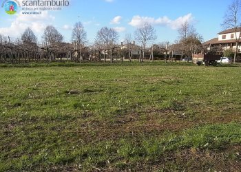 Foto 7 - Terreno edificabile Povegliano - foto 7