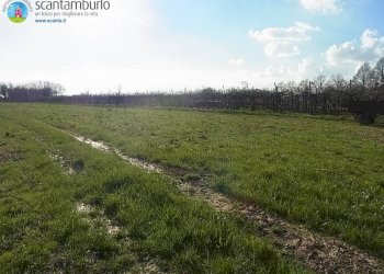 Foto 8 - Terreno edificabile Povegliano - foto 8