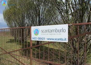 Foto 2 - Terreno edificabile Ponzano Veneto - foto 2