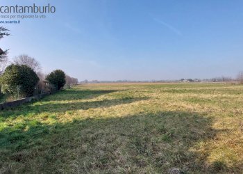 Foto 4 - Terreno edificabile Ponzano Veneto - foto 4