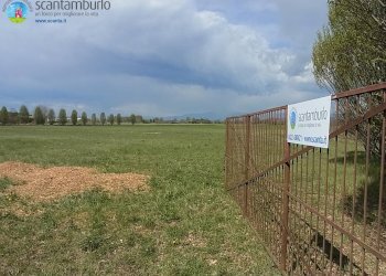 Foto 11 - Terreno edificabile Ponzano Veneto - foto 11