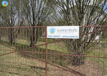 Foto 12 - Terreno edificabile Ponzano Veneto - foto 12